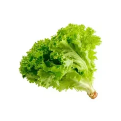Lechuga Crespa Verde Unidad